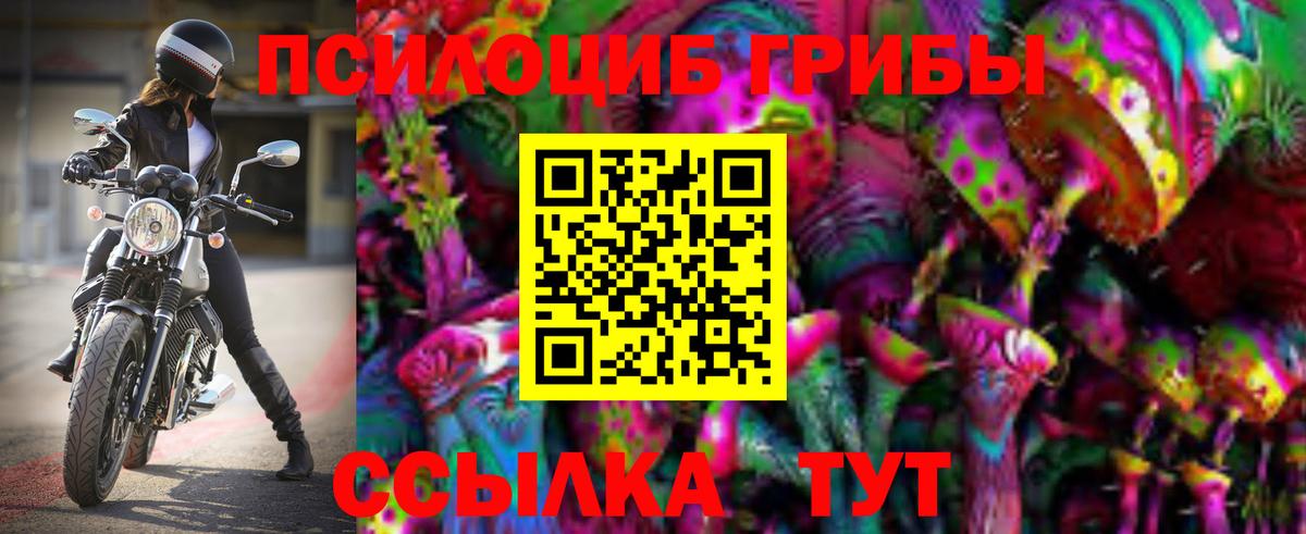 Галлюциногенные грибы Magic Shrooms Тара