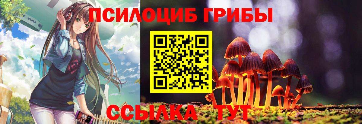 Галлюциногенные грибы Cubensis  Вход с VPN  Псилоцибиновые грибы прущие грибы  Тара 
